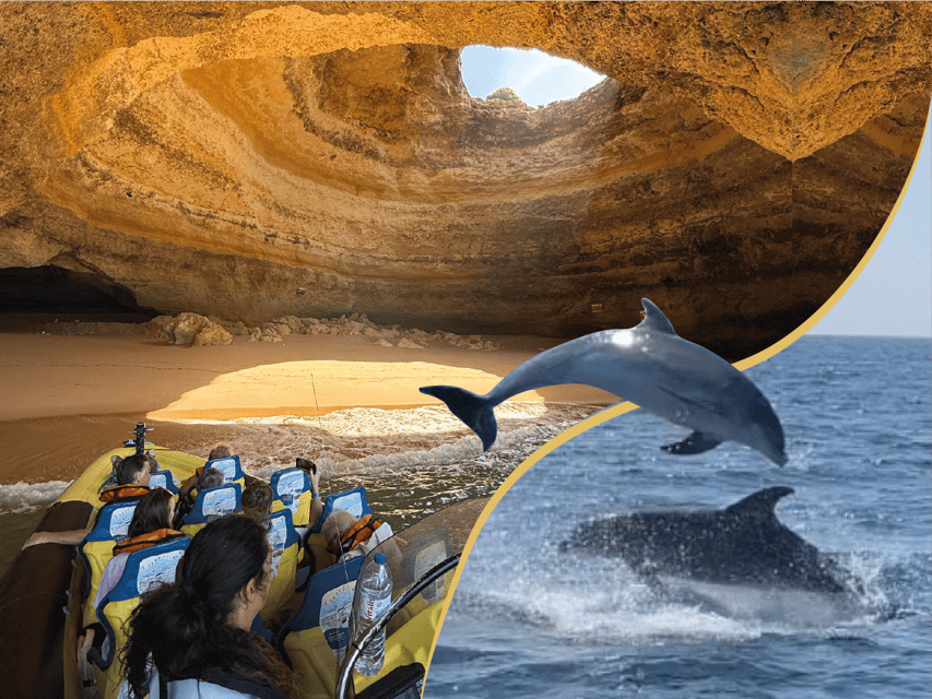 Albufeira: Benagil Caves & Dolphin Watching Speed Boat Tour