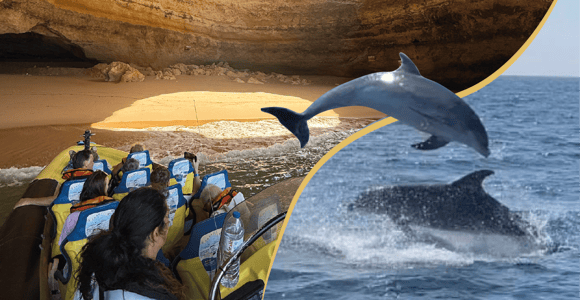 Albufeira: Benagil Caves & Dolphin Watching Speed Boat Tour