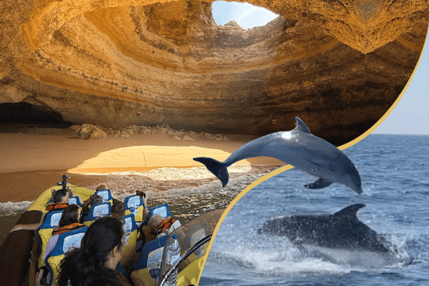 Grotte di Benagil: tour in motoscafo avvistamento dei delfini da Albufeira