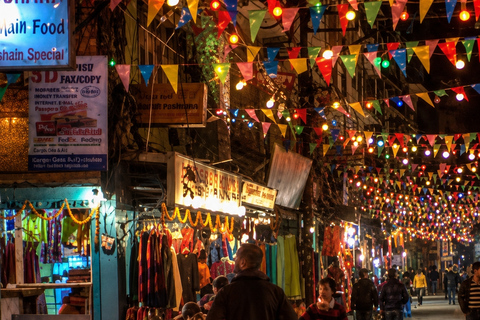 Kathmandu: Thamel & Swayambhunath Walking Tour with Guide