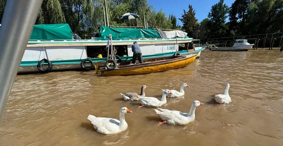 Einzigartige Tigre und Delta Private Tageskreuzfahrt Navegation