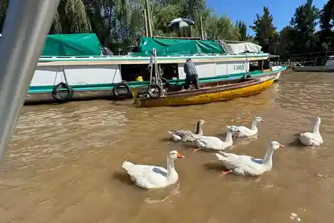 Cruzeiro de um dia privado no Tigre e no Delta Navegação