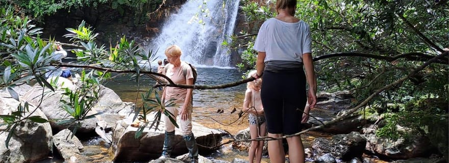 Circuit dans la forêt tropicale de Sinharaja