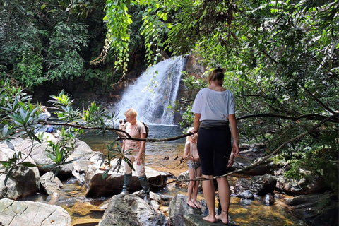 辛哈拉加雨林之旅