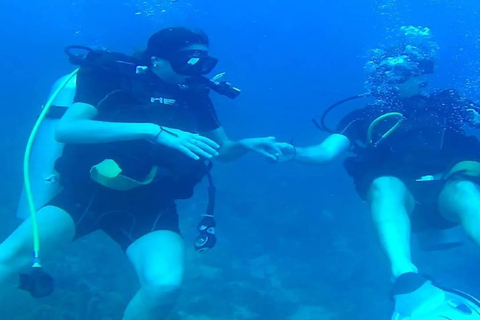 Punta Cana: Catalina Island Scuba Diving Day Trip