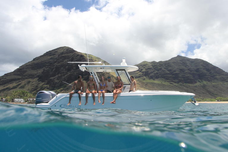 Waianae, Oahu: Swim with Dolphins (Semi-Private Boat Tour) Waianae, Oahu: Swim with Dolphins (6pax luxury power boat)