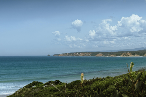 Melbourne: Great Ocean Road Scenic Day Tour