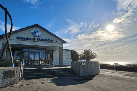 Christchurch: Kaikoura Day Tour with Hotel Pickup