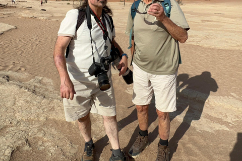 From Windhoek: 6-Day Namibia Safari with Lodging & Meals