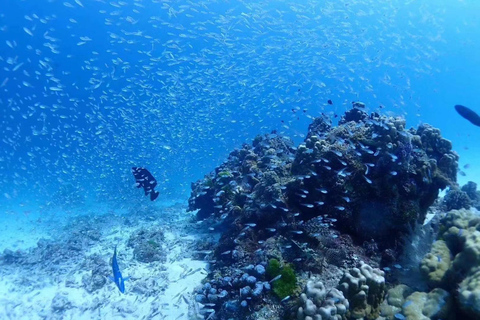 Phuket: Coral, Racha Islands & Promthep Cape Sunset Day Tour Standard Option (Meeting Point)