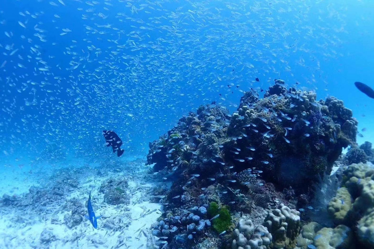 Phuket: Coral, Racha Islands & Promthep Cape Sunset Day Tour Standard Option (Meeting Point)