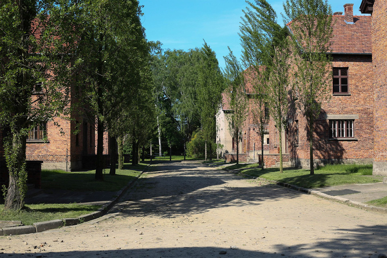 Vanuit Krakau: Auschwitz Museum en Wieliczka-zoutmijn