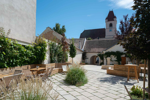 Excursion privée d&#039;une journée dans la campagne viennoise avec dégustation de vins