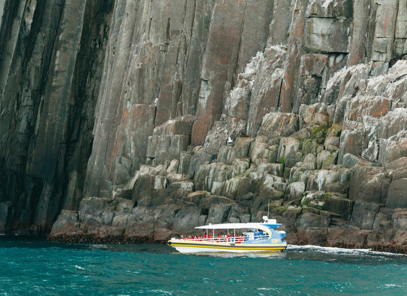 Fra Port Arthur: Tasman Island krydstogt i vildmarken