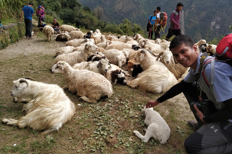 Annapurna Base Camp trek via Poon Hill Starting from Pokhara ABC trek via Poon Hill , Starting from Pokhara