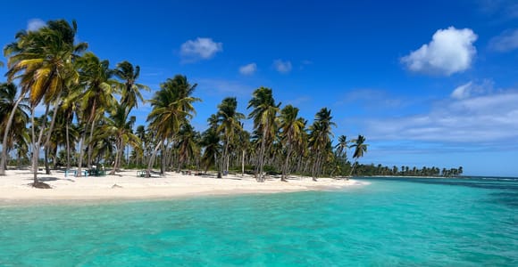Saona Island: Small Group Virgin Beaches Cruise Day Trip