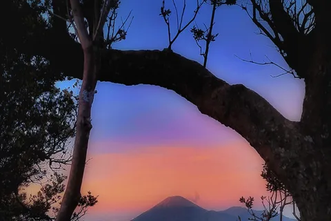 Shared Tour Bromo Start Cemorolawang Probolinggo