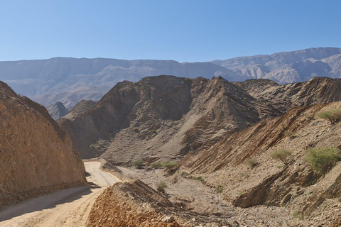 From Muscat: Wadi Al Arbieen Adventure, Sinkhole, Fins Beach