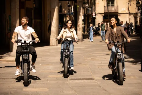 Málaga: tour guiado en bicicleta eléctrica con vistas panorámicas