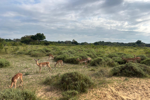 Maputo National Reserve Park Safari Excursion