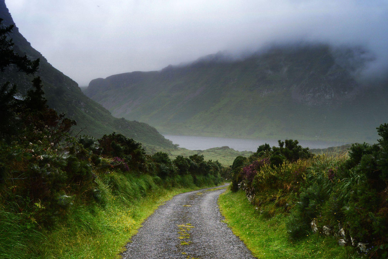 Motorista particular em Galway: Passeios e traslados personalizados