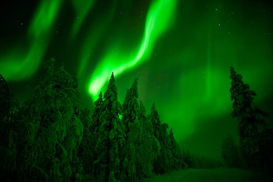 Rovaniemi Excursi N En Moto De Nieve Por La Aurora Boreal Getyourguide