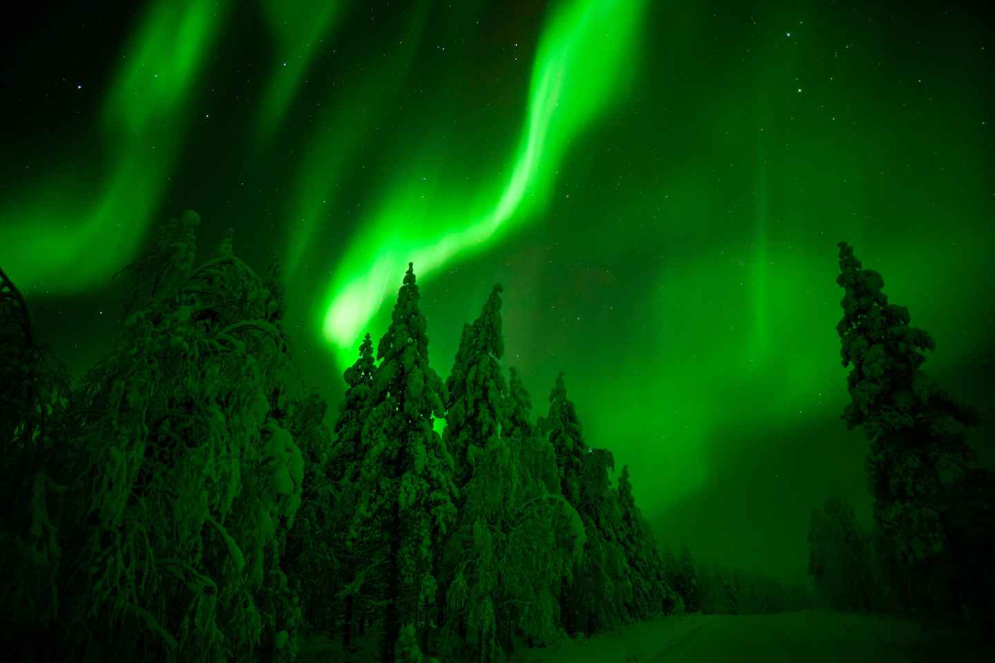 Rovaniemi: Northern Lights Snowmobile Tour