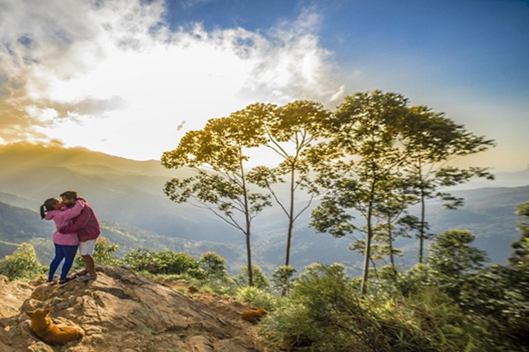 Haputale: Ella Day Tour with Tea Factory and Cooking Class