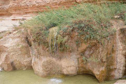 From Djerba: 2Day Tour to Tozeur, the Mountain Oasis matmata