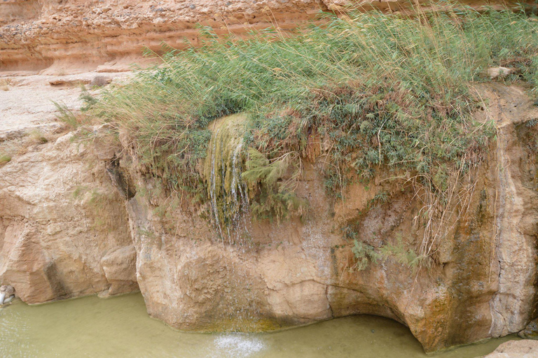 Vanuit Djerba: 2Daagse tour naar Tozeur, de bergoase matmata