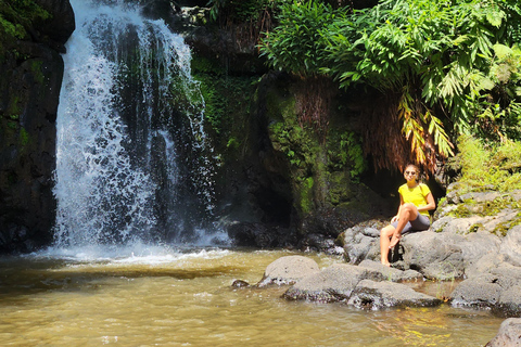 Sources thermales de Chemka, chute d&#039;eau de Materuni, visite du café