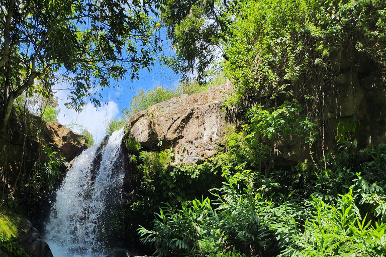 Sources thermales de Chemka, chute d&#039;eau de Materuni, visite du café