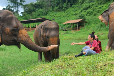 Rantong elephant sanctuary Chiangmai