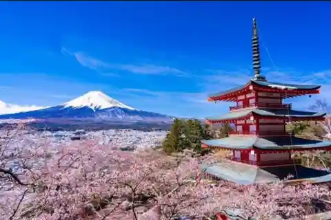 Tokyo: Private Day Trip to Mount Fuji and Hakone
