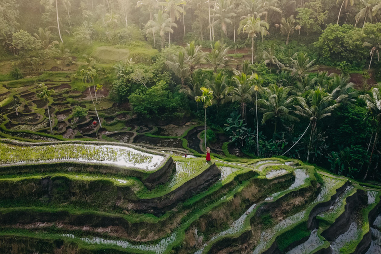 Wanderlust birthday photo and video with drone and Editing Photo and video with drone (Without Flower Pool & Pool)