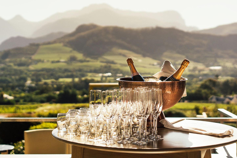 Le Cap : visite des vignobles pour les amateurs de vin avec transfert privé