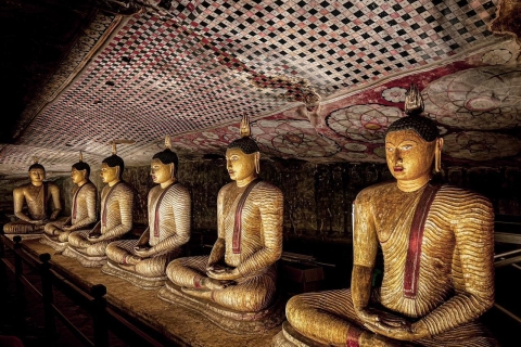 Excursión de un día de Kandy a Sigiriya, Dambulla y Parque Safari de Minneriya