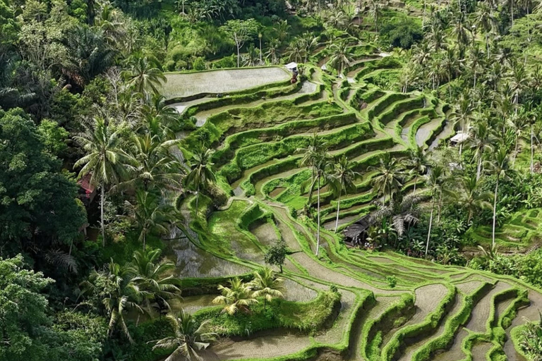 Mount Batur Jeep Sunrise With Ubud Tour Options Hot spring ticket (meet at meeting point)