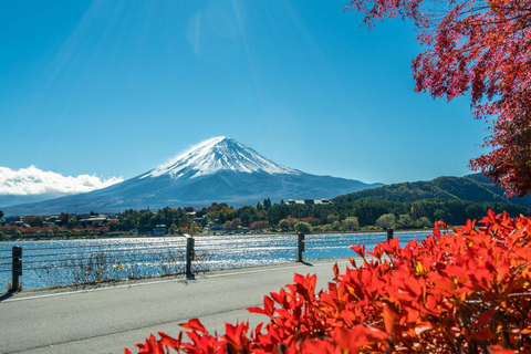 Visite des 6 attractions du mont Fuji : lac Kawaguchi, Oshino HakkaiLieu de rendez-vous : gare de Tokyo à 8 h 00.
