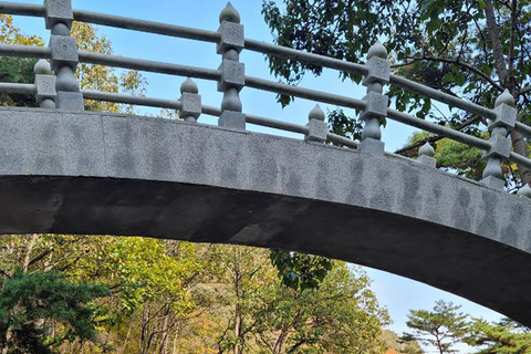 Depuis Séoul : Excursion d&#039;une journée à Yeongdong avec dégustation de vin et Janggu...