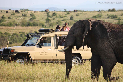 16 Tage Kenia, Tansania, Elefantenland und Großkatzen Safari