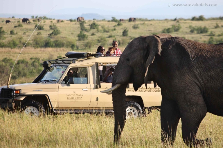 16 Tage Kenia, Tansania, Elefantenland und Großkatzen Safari