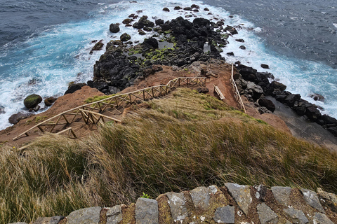 São Jorge: Ida e volta da ilha até 7 horas.Ilha de São Jorge: Ida e volta 7 horas.