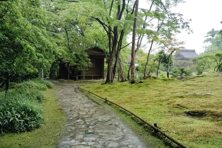 نارا: جولة في حدائق يوشيكين وإيسوئين مع حفل شاي