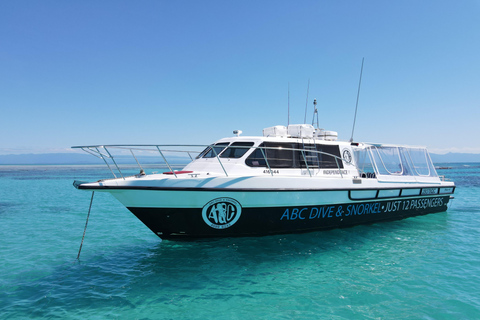 Port Douglas: Just 12 Passengers Guided Snorkel Reef Cruise