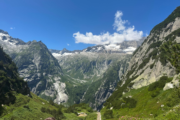 Luzern : Reichenbach Waterfall and Aare Gorge Tour