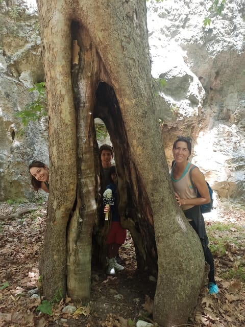 Vanuit Chania Wandeling Door De Agia Irini Kloof Ontspanning In De