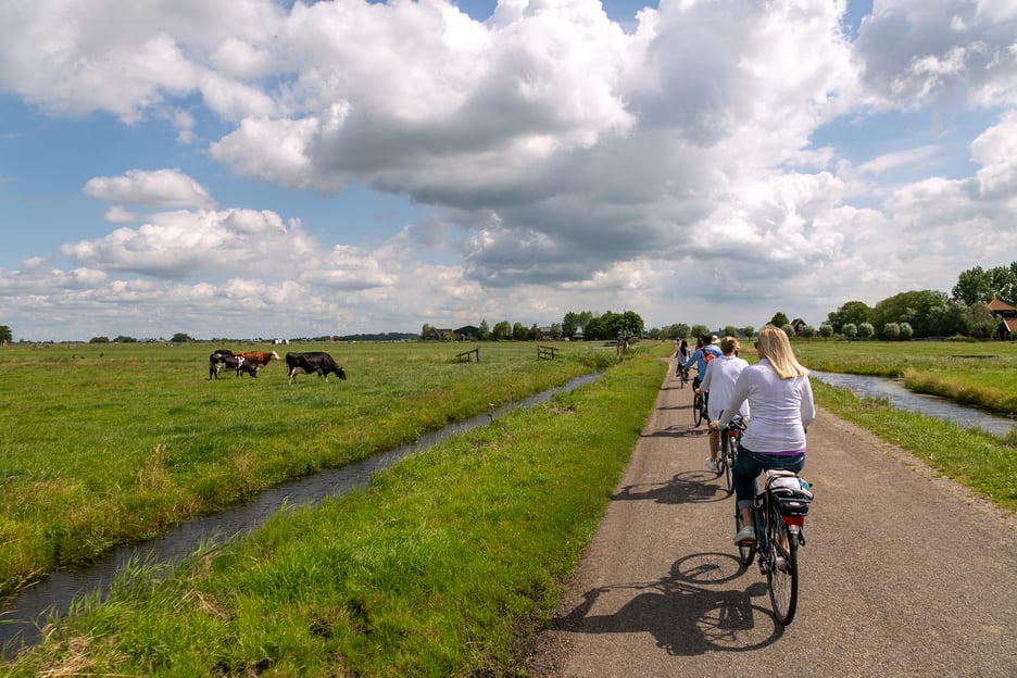 Amsterdam: Excursión en bicicleta eléctrica por los molinos, el queso y la campiña