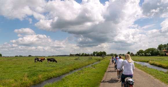 Amsterdam: Windmühlen, Käse und Landschaften E-Bike Tour