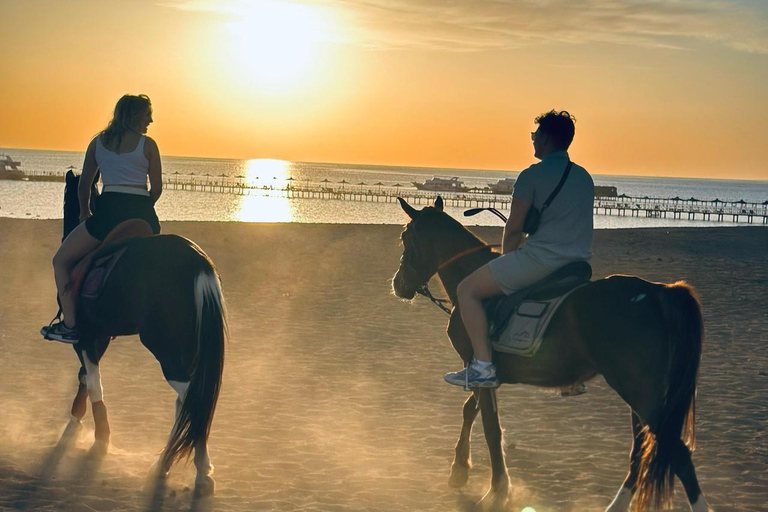 الغردقة: جولة ركوب الخيل في الصحراء والبحر مع خيار السباحةجولة لمدة ساعتين لركوب الخيل بدون السباح